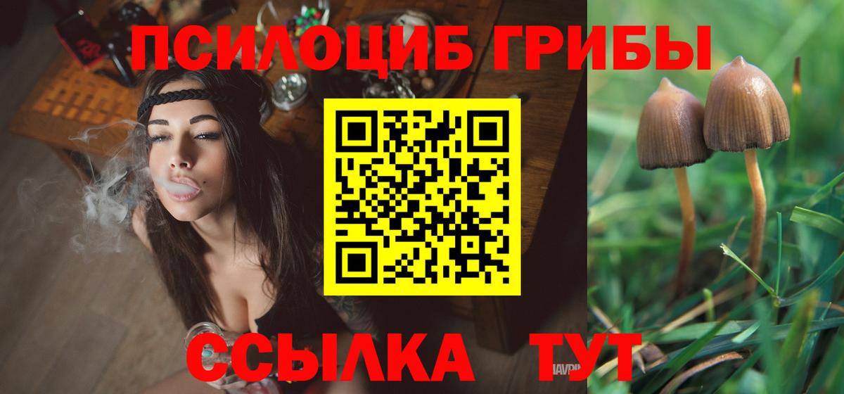 Псилоцибиновые грибы ЛСД Зерноград