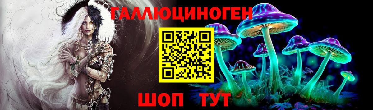 купить наркотик  Псилоцибиновые грибы Psilocybe  Галлюциногенные грибы прущие грибы  Вход с VPN  Зерноград 